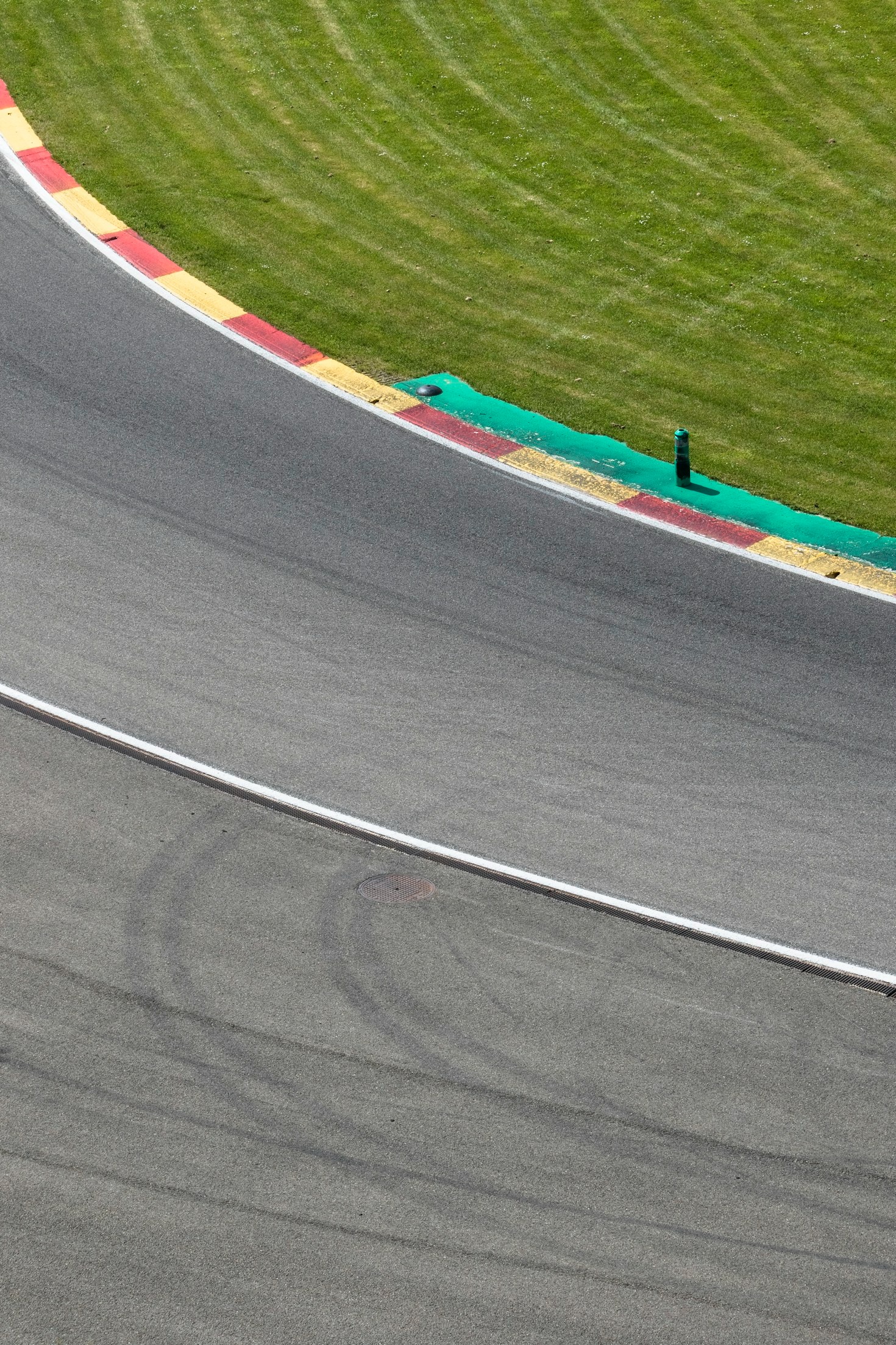 Top 5 Emerging Trends in Motorsports